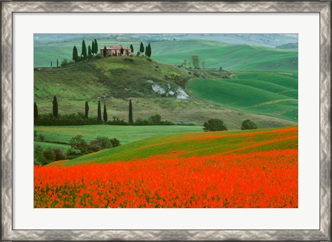 Framed Europe, Italy, Tuscany The Belvedere Villa Landmark And Farmland Print