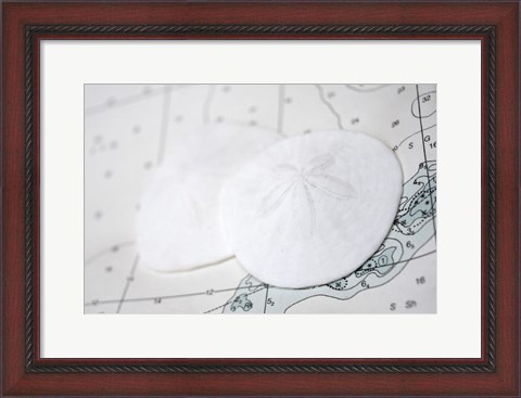 Framed Sand Dollars On Nautical Chart Print