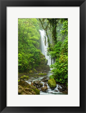 Framed Costa Rica, La Paz Waterfall Garden Rainforest Waterfall And Stream Print