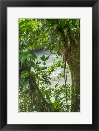 Framed Costa Rica, Sarapiqui River Valley, Rio Puerto Viejo River In Rainforest Print