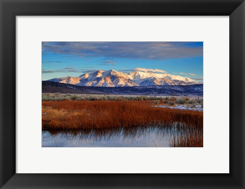 Framed California White Mountains And Reeds In Pond Print