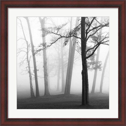 Framed Ethereal Trees Print