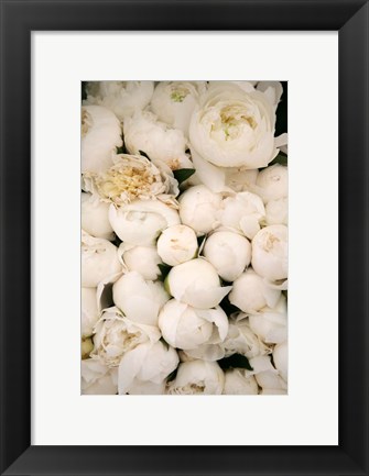 Framed Peony 1 Print