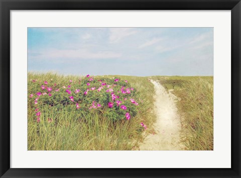 Framed Beach Roses Print