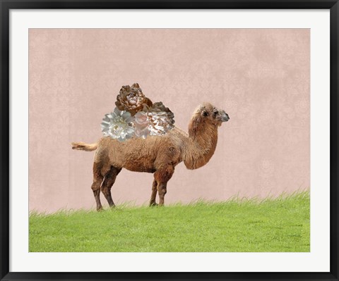 Framed Camel on Pink Print