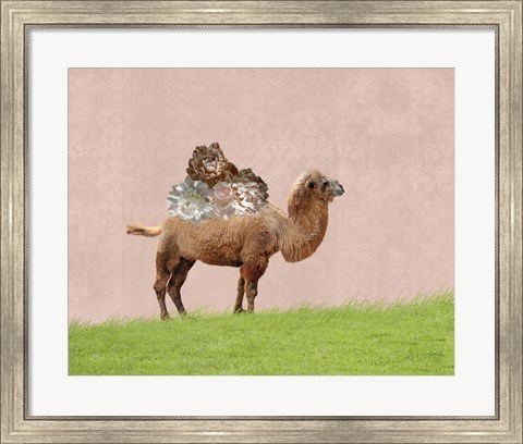 Framed Camel on Pink Print