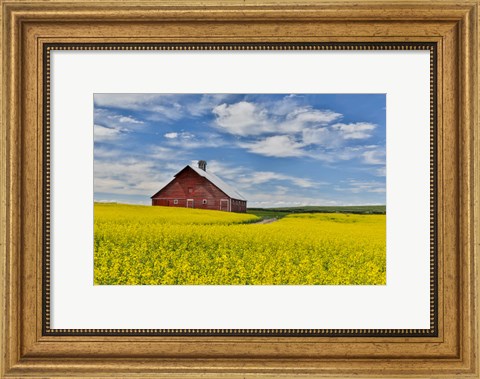 Framed Red Barn In Canola Field Near Genesee, Idaho, Print