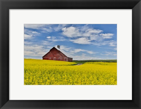 Framed Red Barn In Canola Field Near Genesee, Idaho, Print