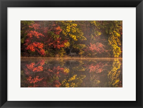 Framed New Jersey, Belleplain State Fores,t Autumn Tree Reflections On Lake Print