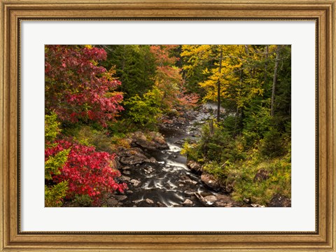 Framed New York, Adirondack State Park Stream And Forest In Autumn Print