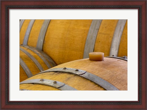 Framed Oregon, Elk Cove Winery Oak Barrels Close-Up Print