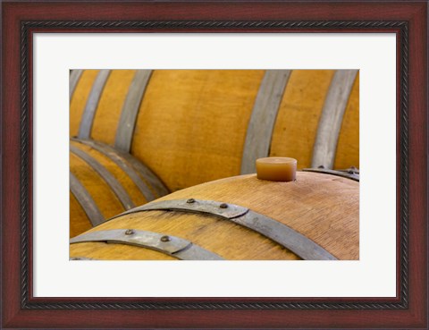 Framed Oregon, Elk Cove Winery Oak Barrels Close-Up Print