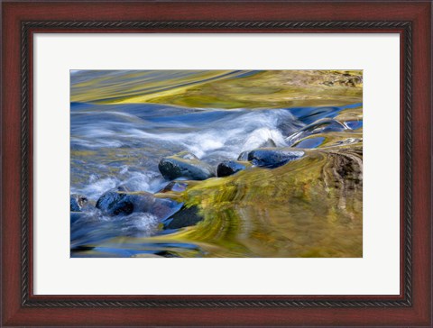 Framed Oregon Abstract Of Autumn Colors Reflected In Wilson River Rapids Print