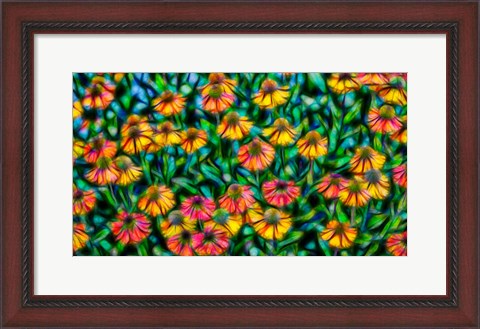 Framed Oregon, Coos Bay Abstract Of Flower Garden Print