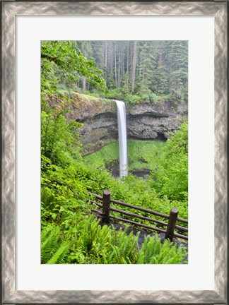 Framed Silver Falls State Park, Oregon South Falls And Trail Leading To It Print