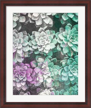 Framed Colored Succulents Print