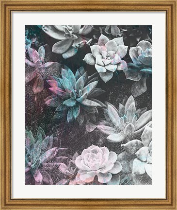 Framed Colored Succulents III Print