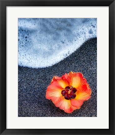 Framed Beach Floral Print