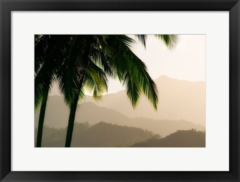 Framed Misty Palms III Print
