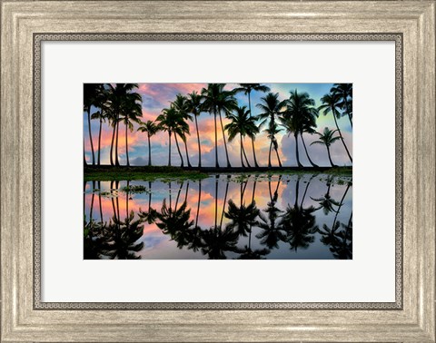 Framed Palm Reflections Print