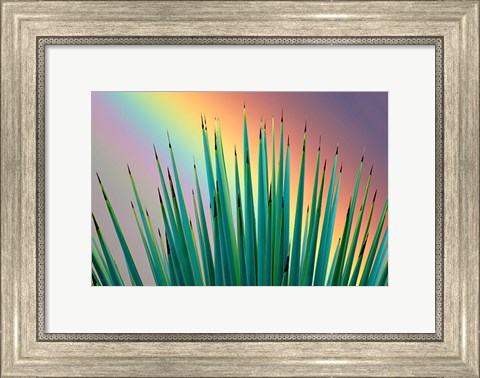 Framed Prism Plant Print
