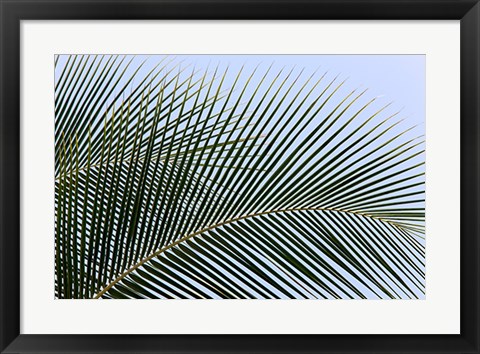 Framed Tropical Print