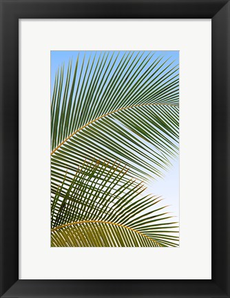 Framed Tropical II Print