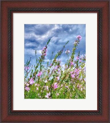 Framed Wild Flowers Print