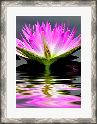 Framed Purple Reflection Print