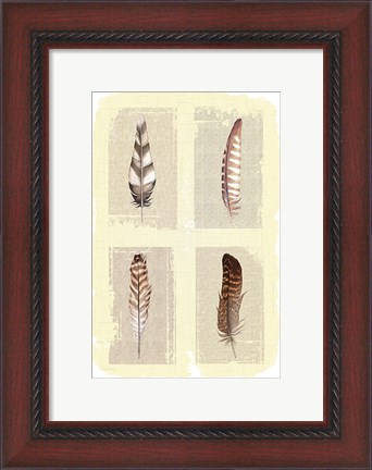 Framed Traditional Figurative Feathers Print