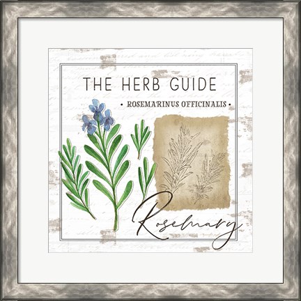 Framed Herb Guide - Rosemary Print