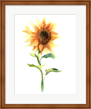 Framed Sunflower III Print