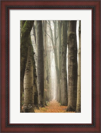 Framed Narrow Alley in the Netherlands Print