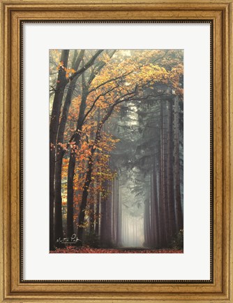 Framed To Another World Print