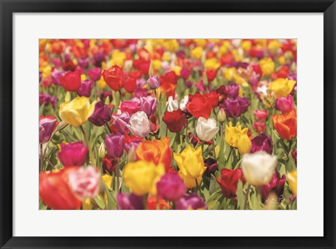 Framed Colorful Bouquet Print