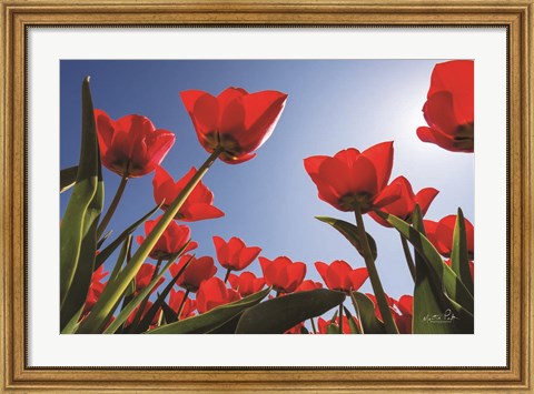 Framed Look Up in Red Print
