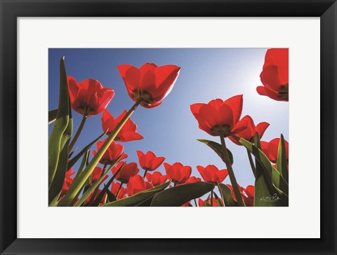 Framed Look Up in Red Print