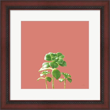 Framed Succulent Simplicity IX Coral Print