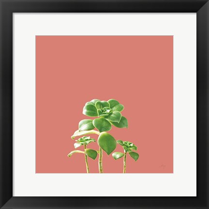 Framed Succulent Simplicity IX Coral Print