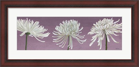Framed Morning Chrysanthemums V Lavender Print
