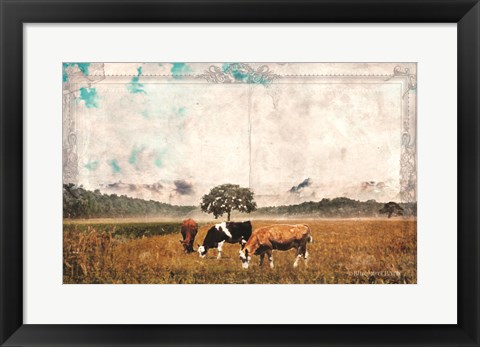 Framed Vintage Grazing Cattle Print