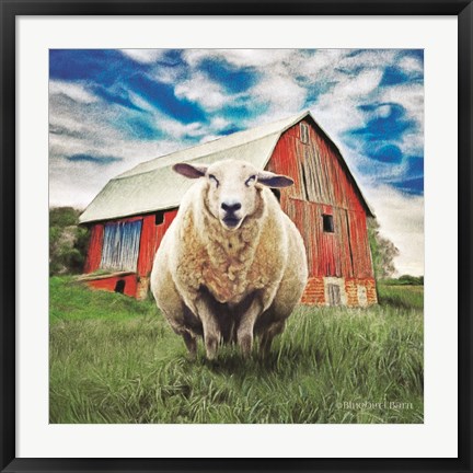 Framed Sunday Afternoon Sheep Pose Print
