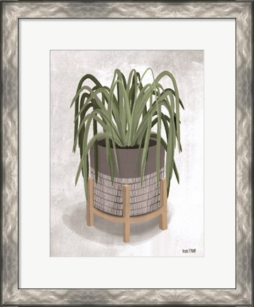 Framed Spider Plant Print