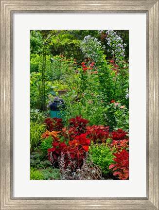 Framed Garden Summer Flowers And Coleus Plants In Bronze And Reds, Sammamish, Washington State Print