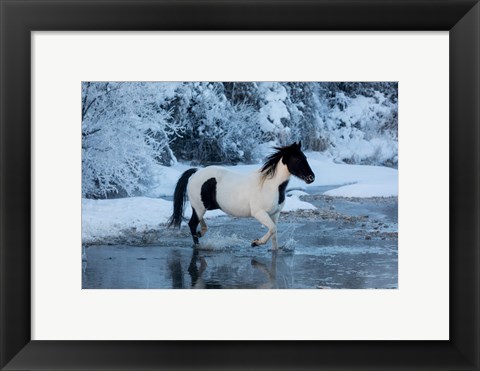 Framed Horse Crossing Shell Creek In Winter Print