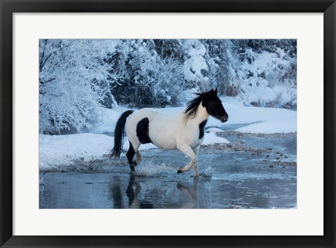 Framed Horse Crossing Shell Creek In Winter Print