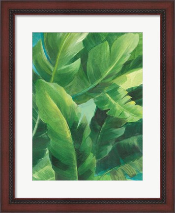 Framed Palms of the Tropics II Print