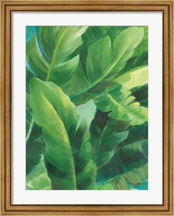 Framed Palms of the Tropics II Print