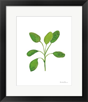 Framed Fresh and Green VII Print