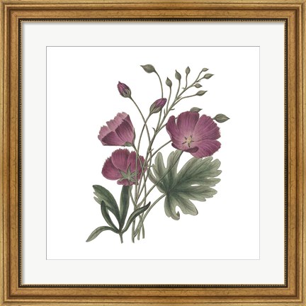 Framed Monument Etching Tile Flowers III Print